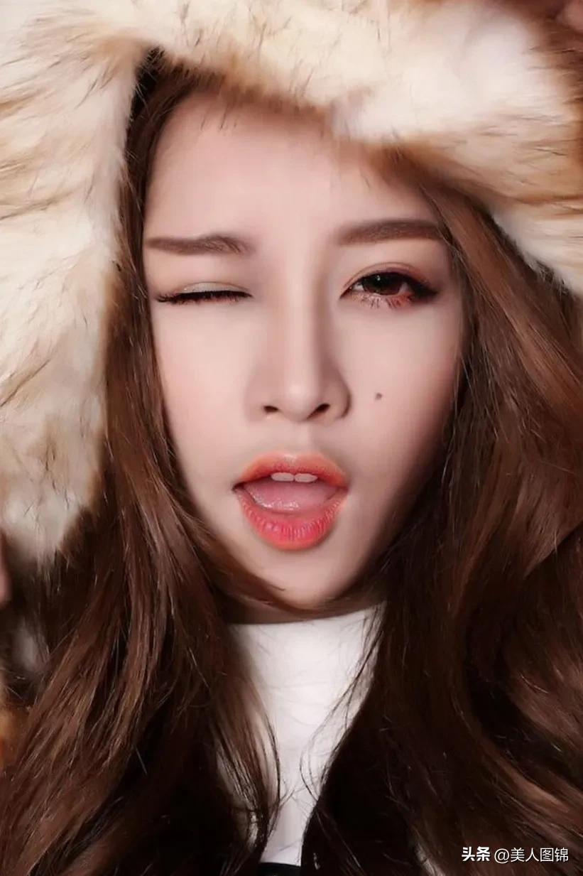 越南芝芙,芝芙越南