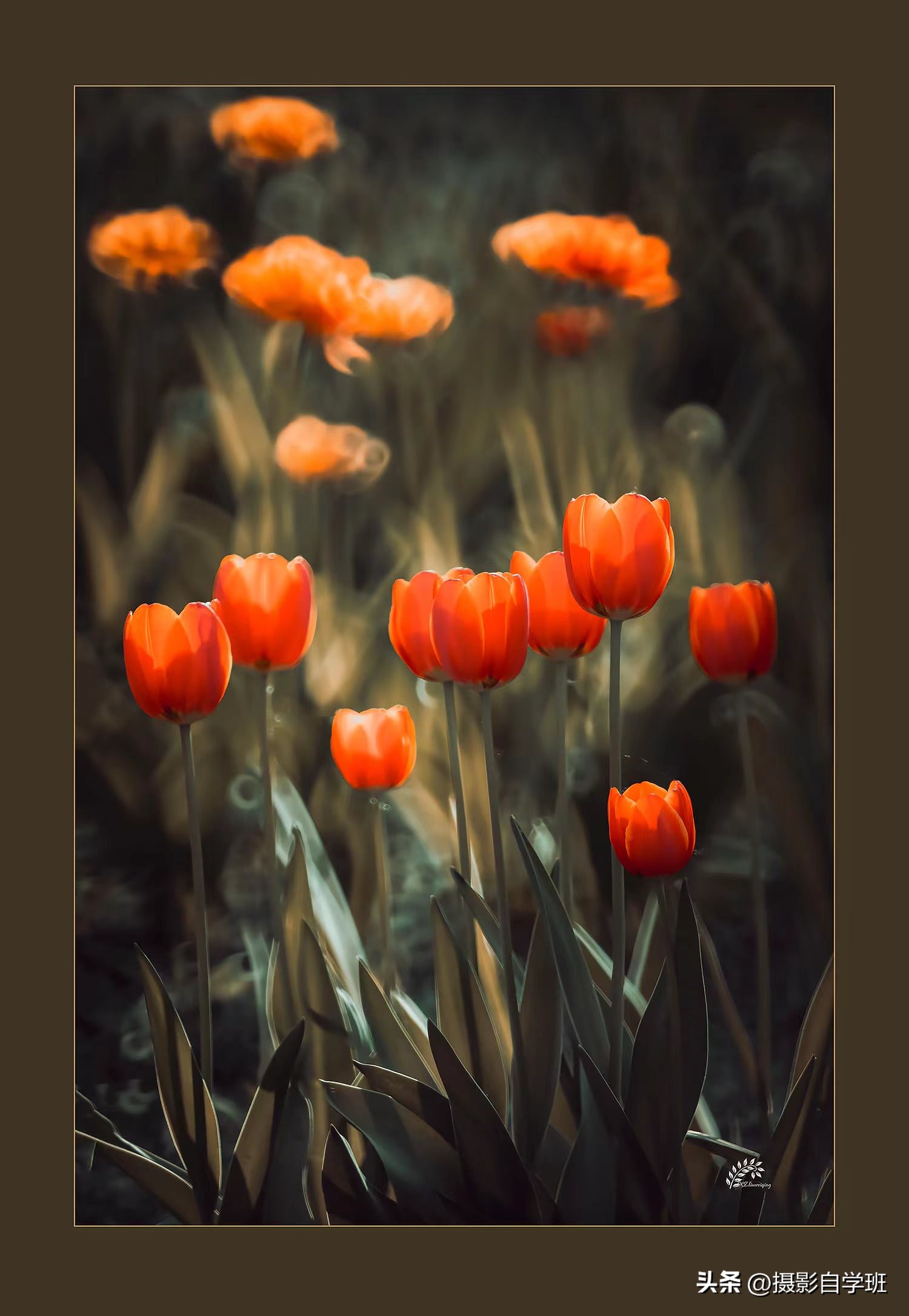 第二十一届摄影作品征稿,摄友投稿图片