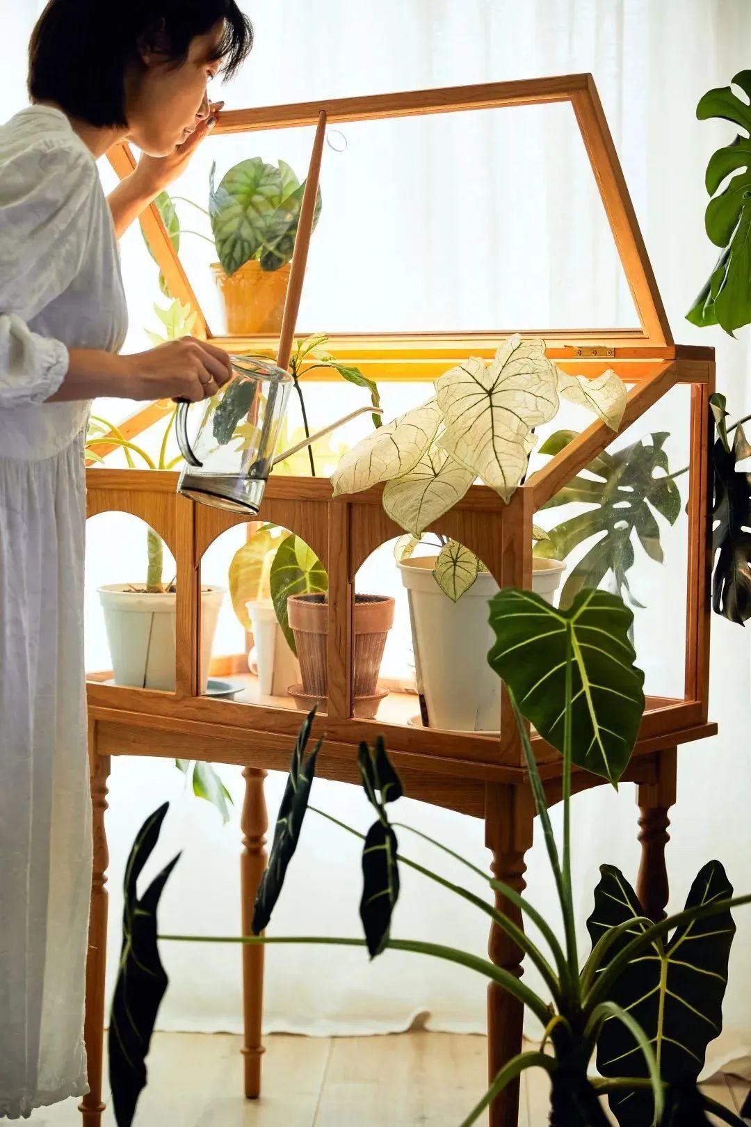 90后妈妈花3年时间,在北京打造室内“小森林”,满屋绿意