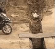 我想问一下这到底是足球还是篮球呢？这电棒是干什么用的