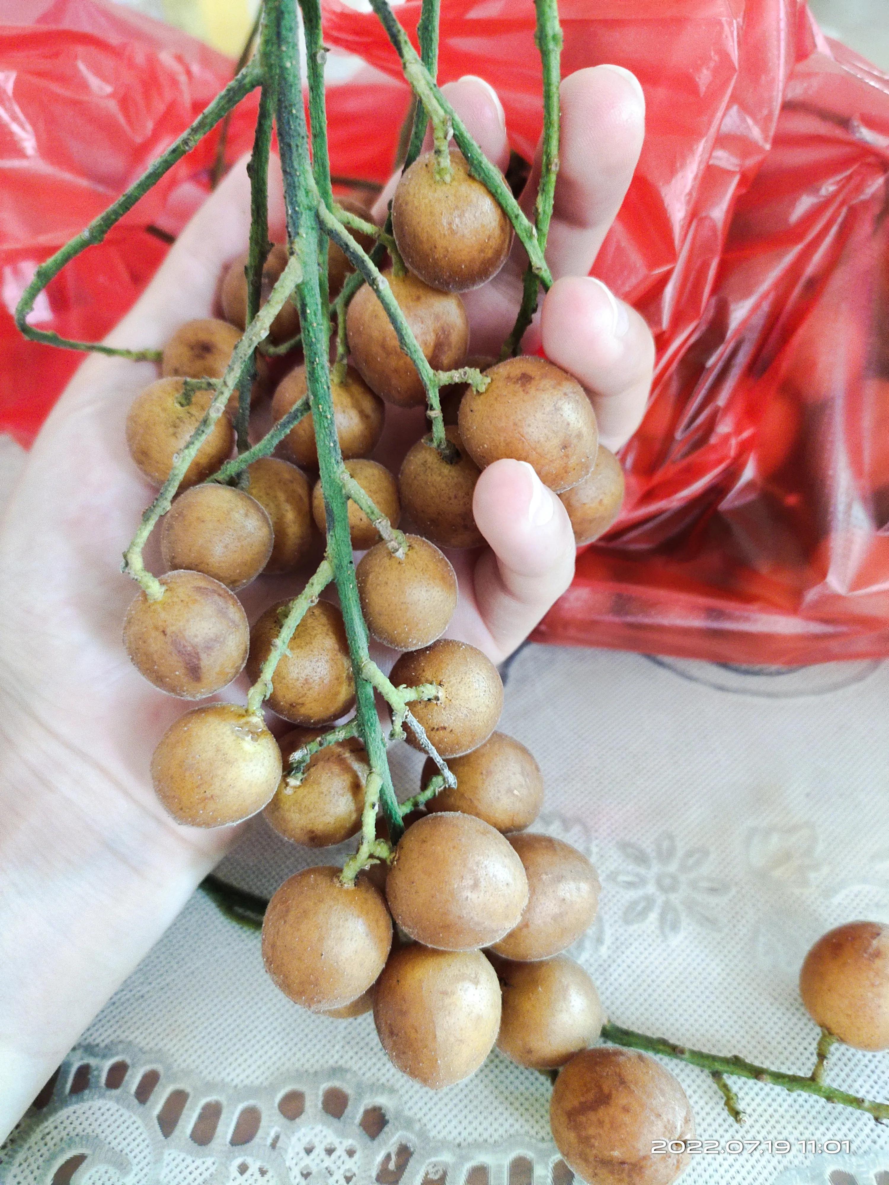 疫情期间兼职在哪里找工作,疫情下白领如何找工作