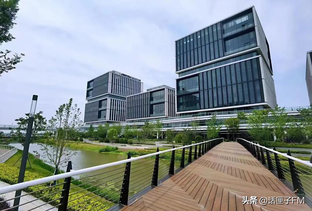 ​“赵”亮梦想，“巷”往成功，6000年崧泽水土之上，数字干线蓄势待发