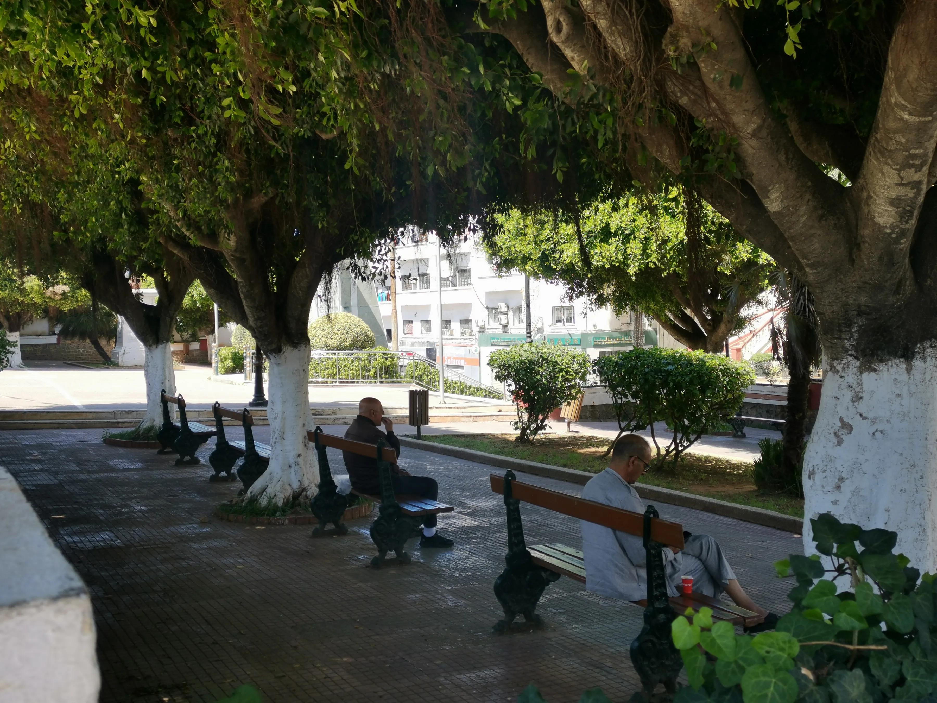 阿尔及利亚可以这样美