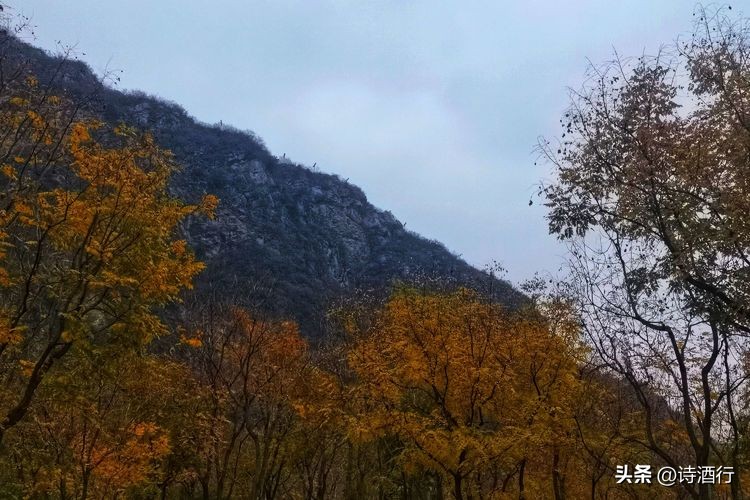 又入冬了还有遗憾吗,又到了瑟瑟发抖的季节