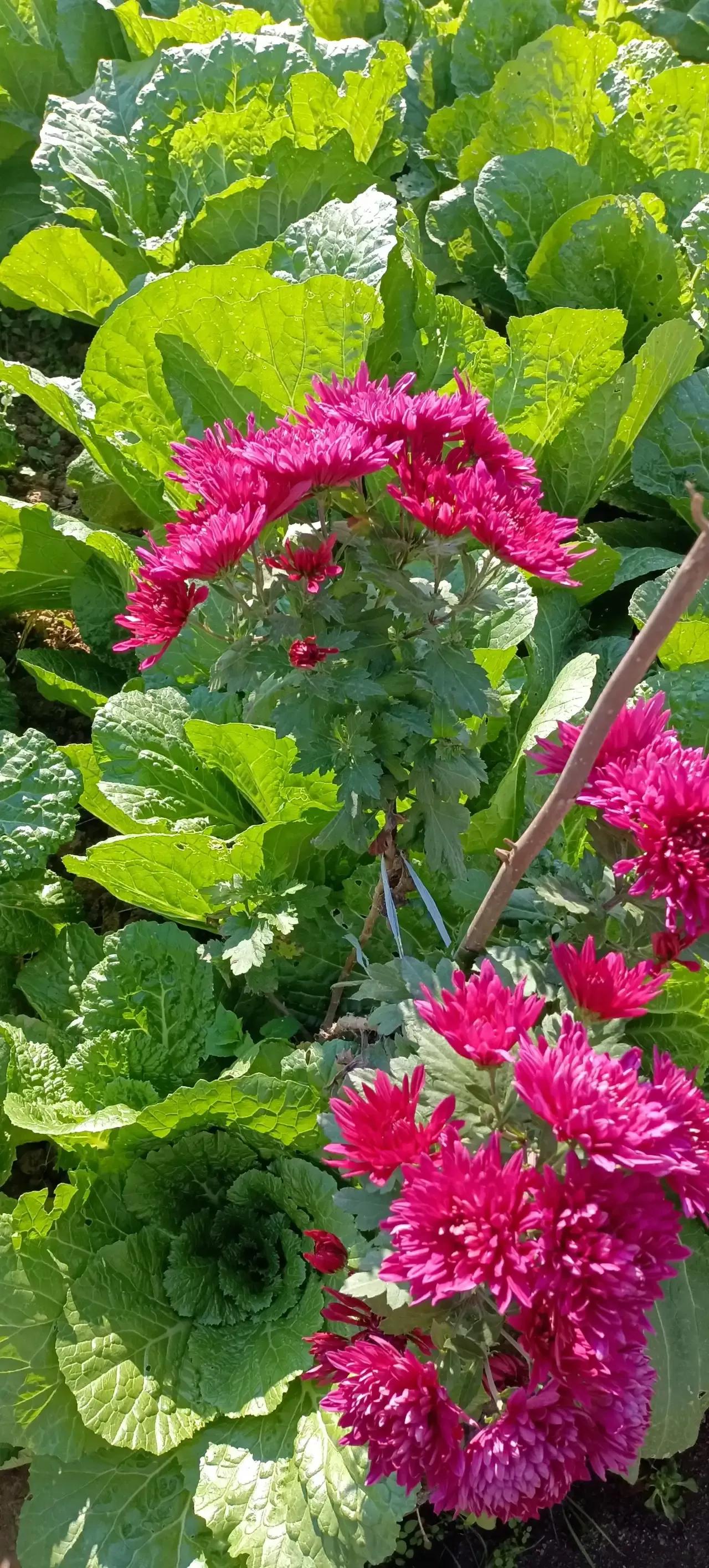 桂林美女拍照,桂林美女导游