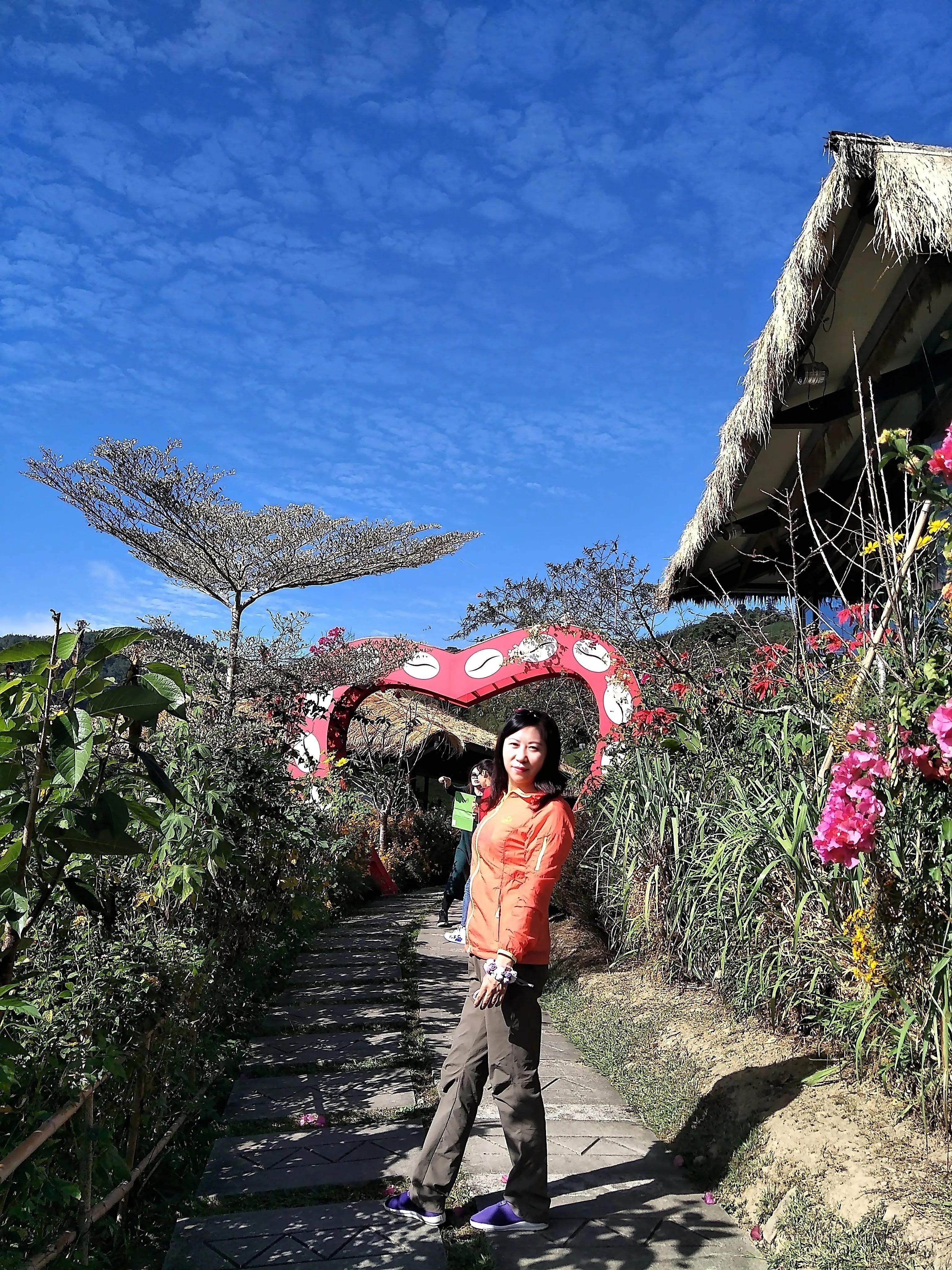 阿里山的云雾让人惊愕的是什么,阿里山的云雾莫名的惊愕和喜悦