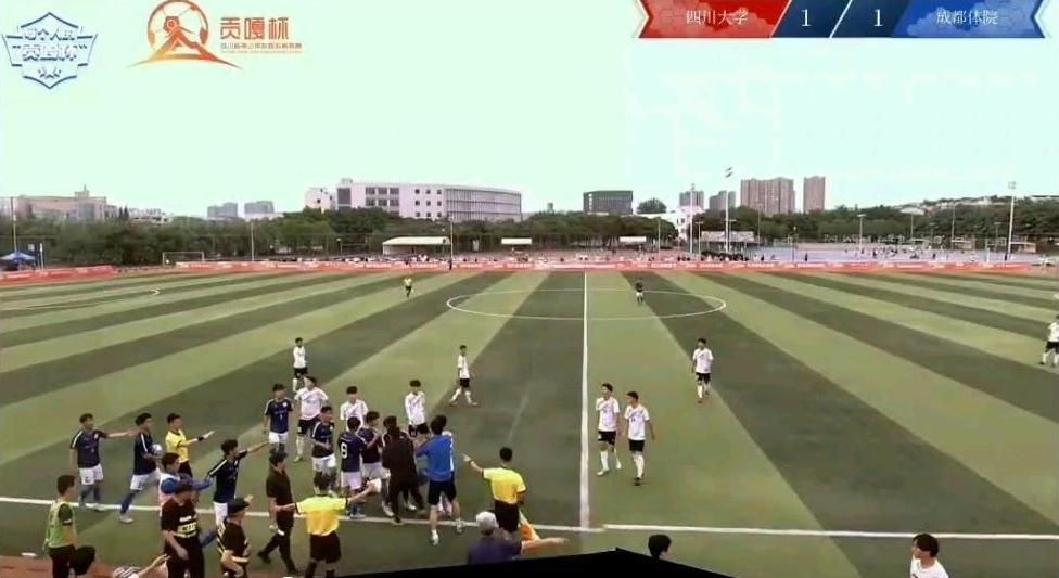 校霸挑衅体育生被群殴,湖北高校冲突事件后续打人男子