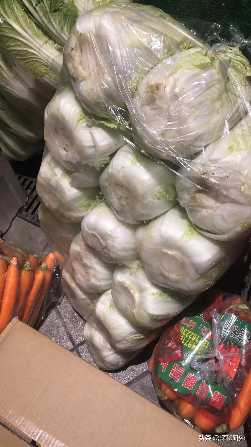 猪肉40一斤是什么原因,猪肉涨到40元一斤为什么