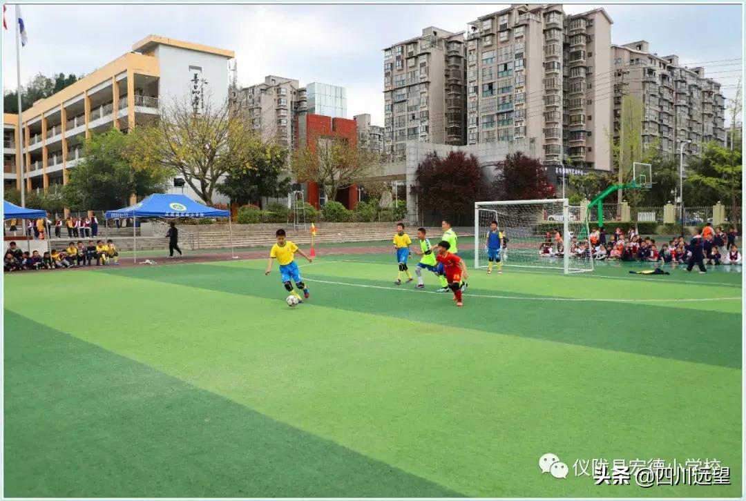 仪陇县新政小学足球联赛2023,仪陇县新政小学第九届足球比赛