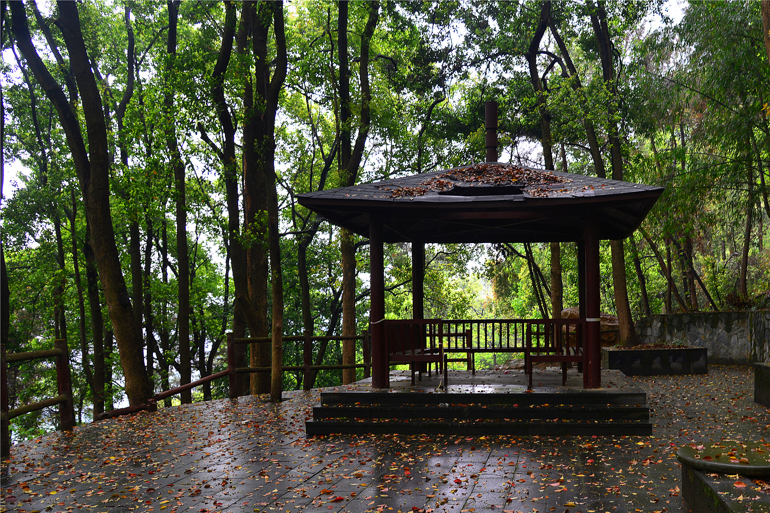 【重庆影像376】·铁山坪森林公园（202302）