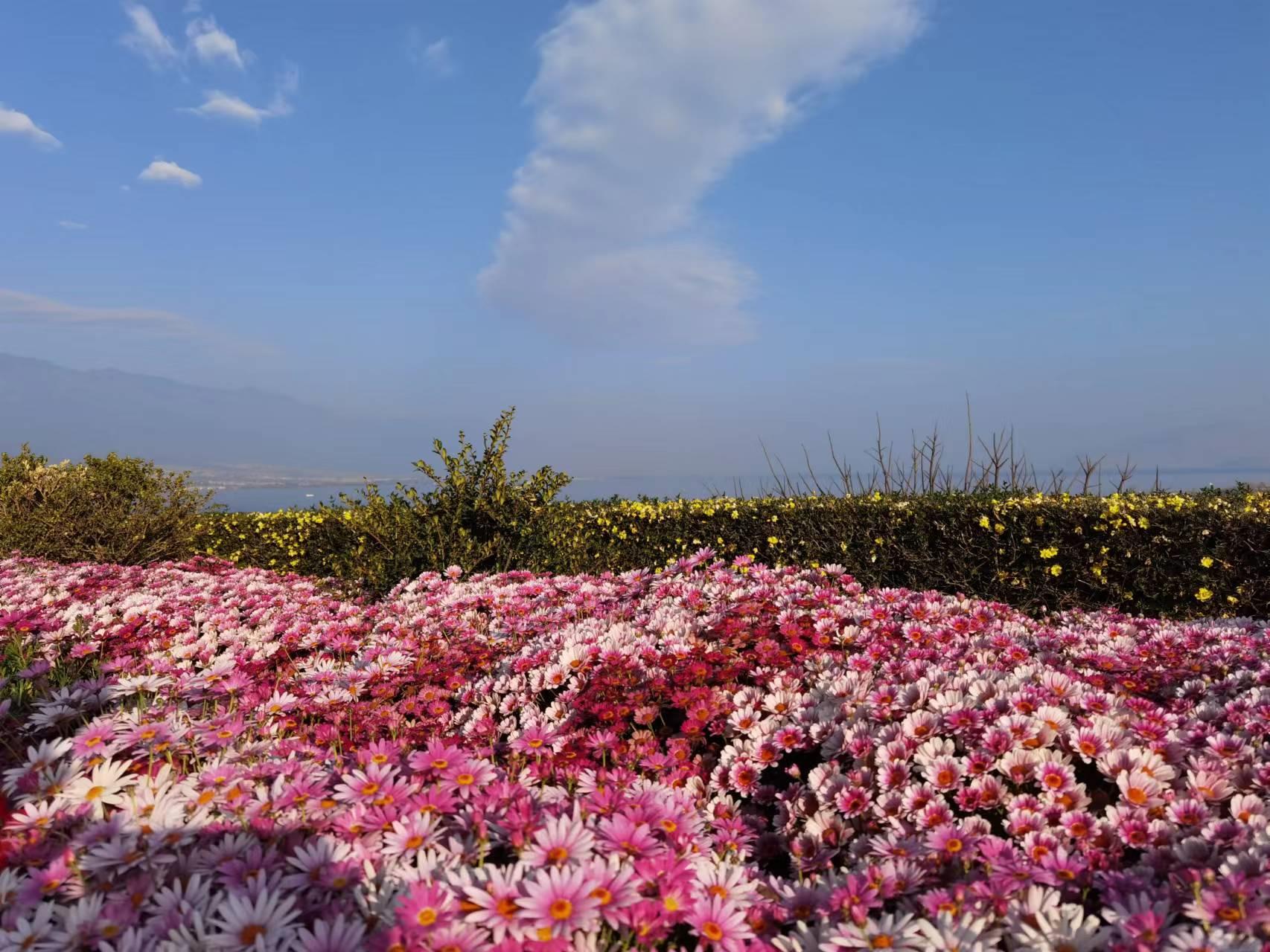 《他的那些年，这些年》（13）好笑的英语课