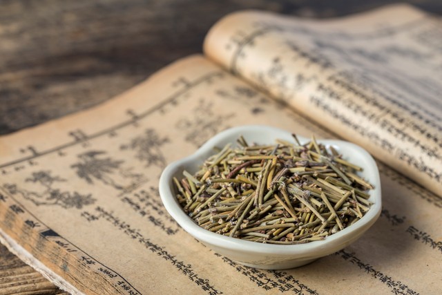 麻黄为什么受到限制,麻黄什么时候能成熟