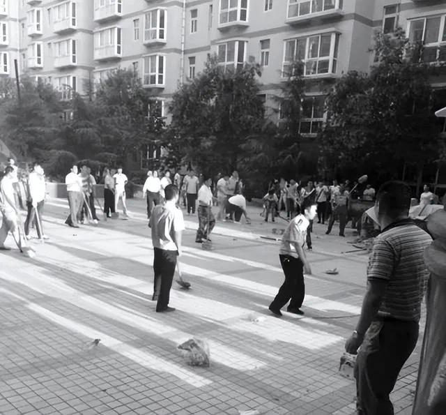 蓝翔宫斗风波,蓝翔宫斗大戏