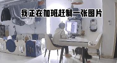 电动车座莫名“遇难”，看到凶手立刻懂了！谢谢你没把车全拆了