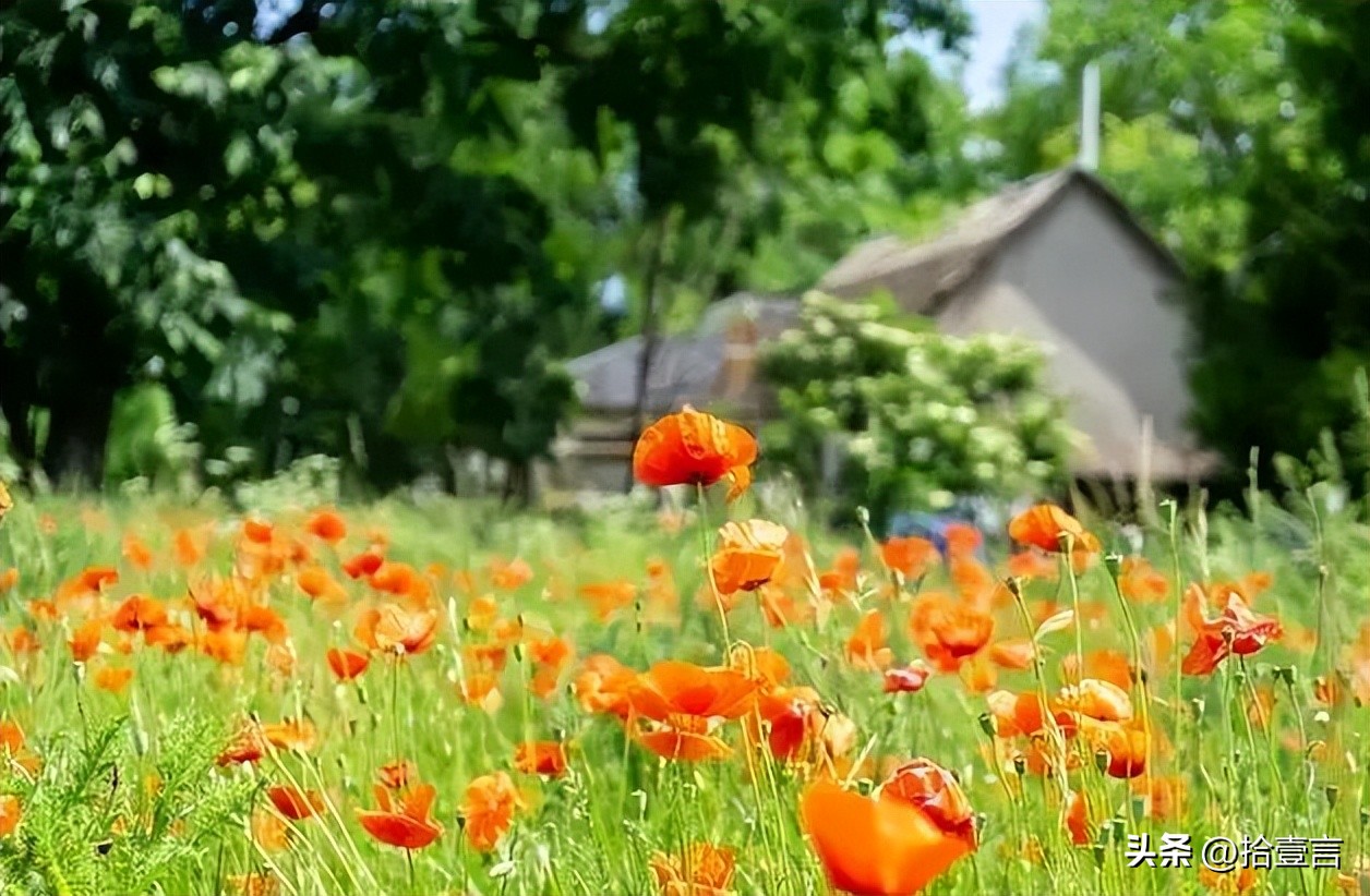 厚积薄发是一种人生的态度,人生就是一个厚积薄发的过程