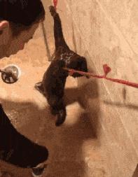 大爷你这是刚挖煤回来吗，另外你这车还挺个性的，这方向盘牛