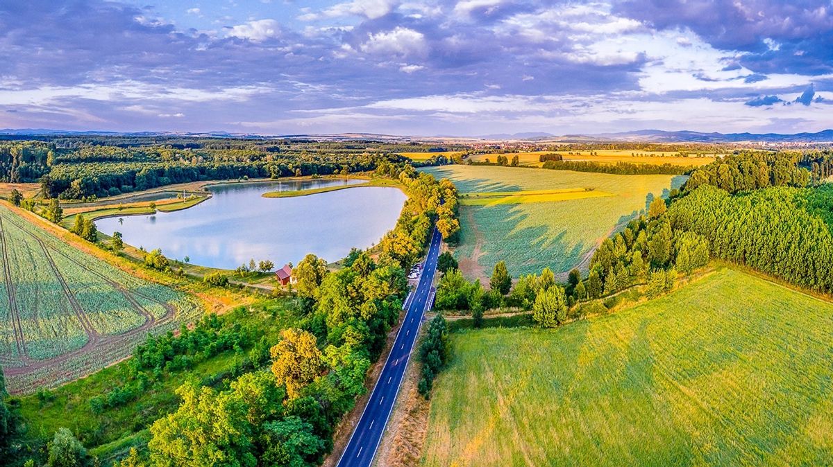 维谢格拉德集团,维谢格拉德集团历史