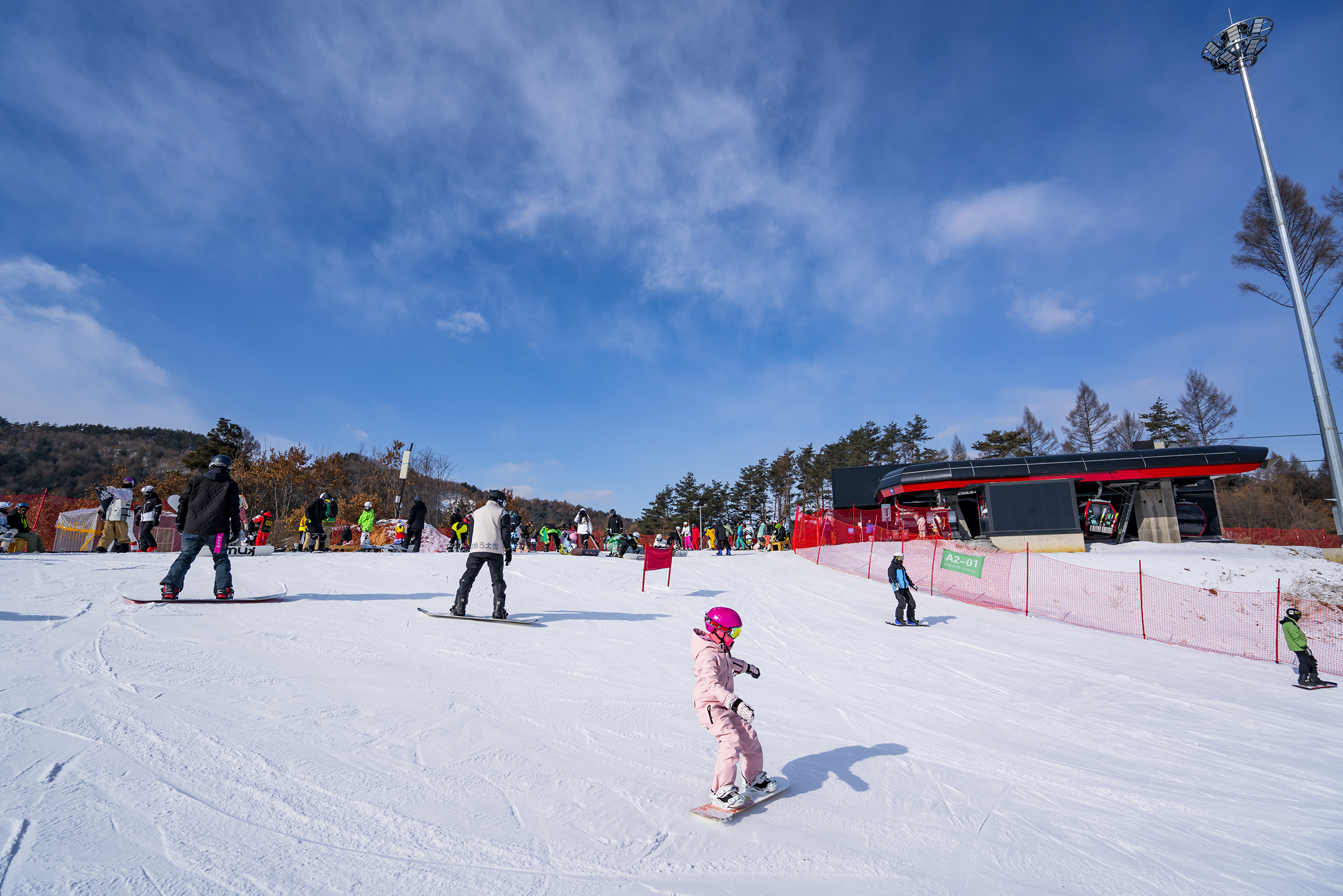 万峰通化滑雪度假区开板时间,通化万峰滑雪度假区种的什么树