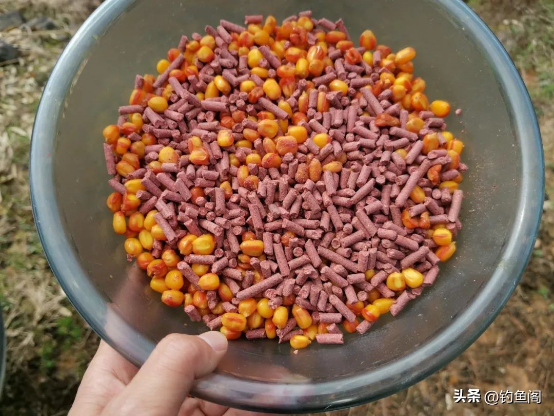 钓友公认十款最好窝料,野钓最值得推荐的玉米窝料