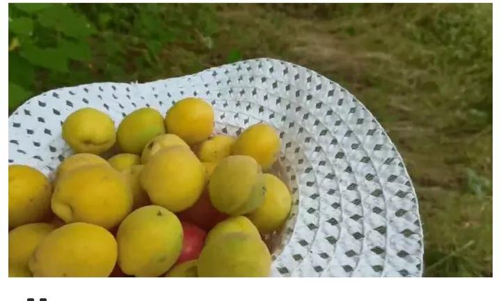 舅舅家的亲戚,舅舅家是谁的家