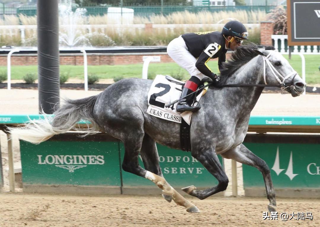 21世纪最伟大比赛,20世纪美国100匹顶级赛马排名