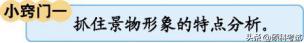 部编版四下语文第三单元测试题,部编四年级语文下册三单元测试