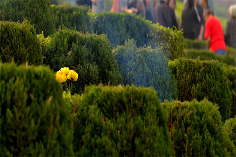 墓地租赁期是几年,墓地使用权可以一次性续费100年吗