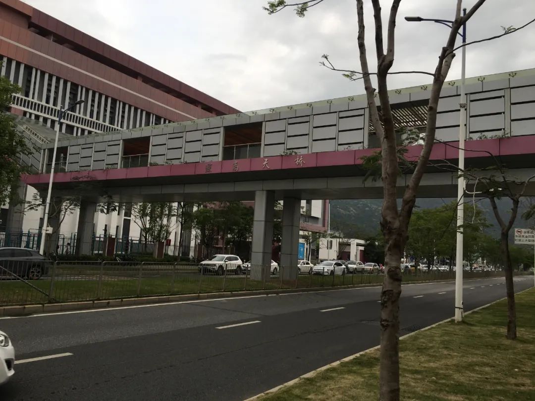 旭光车行雅迪电动车,旭光单车