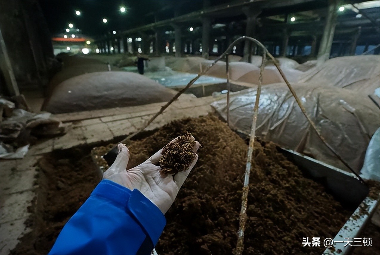 五粮液酿酒操作全过程,五粮液酿酒的方法全过程