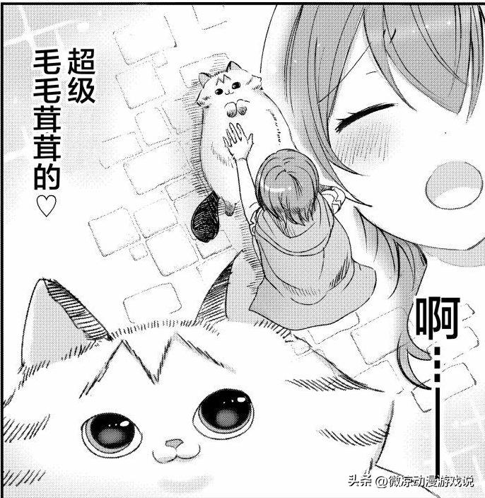 猫猫怎么可以这么乖,猫猫怎样玩耍才会开心