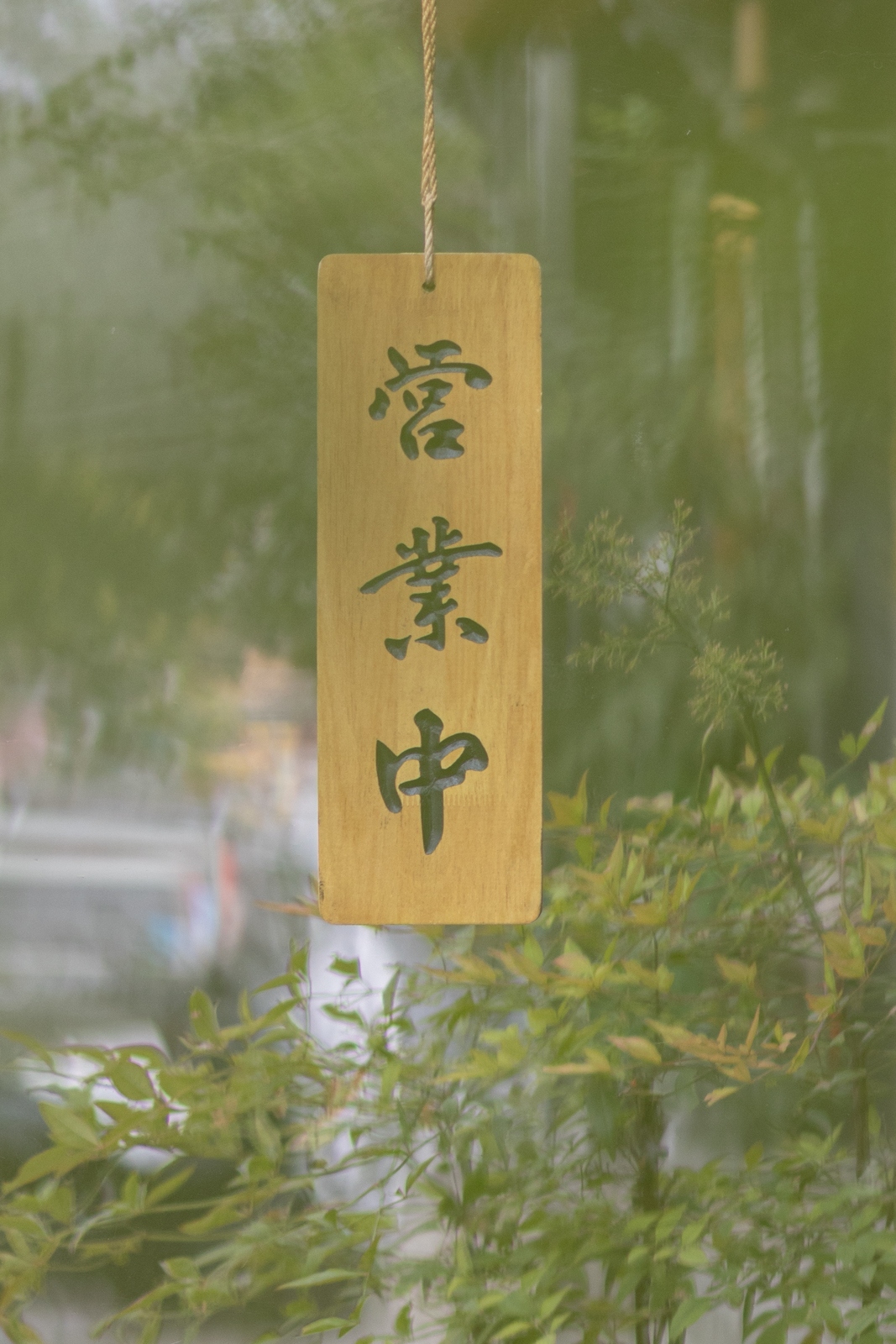 佳能eosr10实拍效果,佳能eosr10怎么样