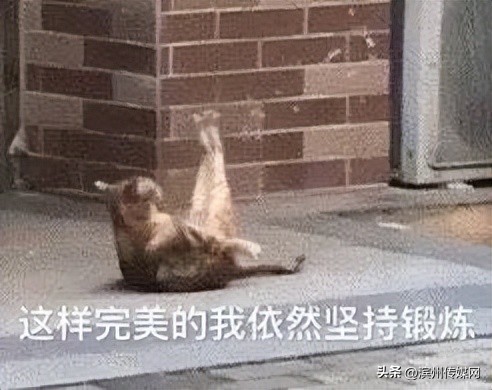 站起来眼前发黑是怎么回事怎么治,站起时眼前发黑是什么原因