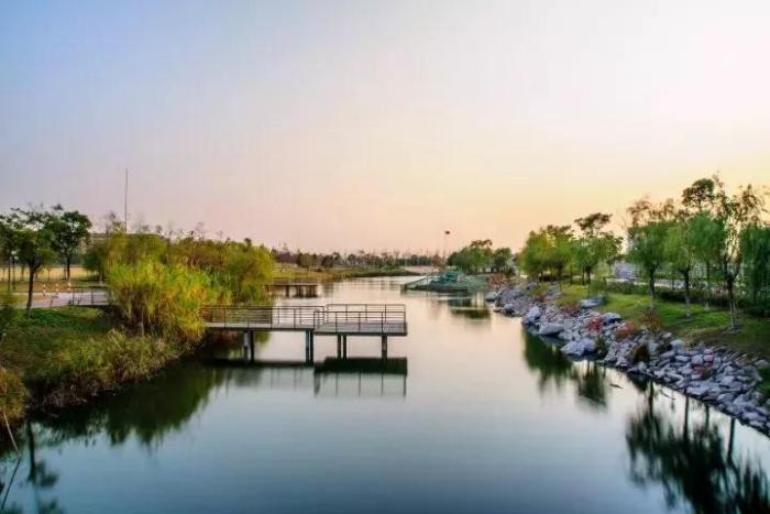 冲破国外技术*锁封**、创下多个“第一”！2022年，华理发出“最耀眼”的一束光！