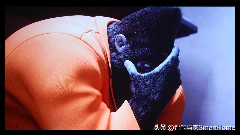 索尼kvpl-xw5000投影,jvcn80和索尼xw7000