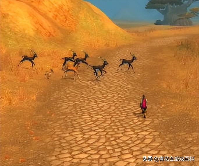 游戏新手必须要知道的知识,游戏最全入门指南