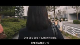 新奥特曼电影里，说了又好像没说的东西