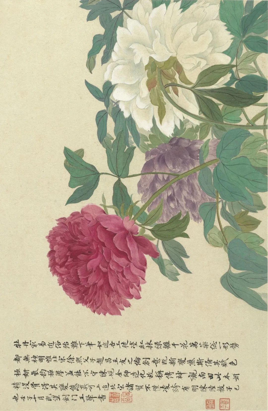 慕容看世界的视频,慕容看世界所有视频