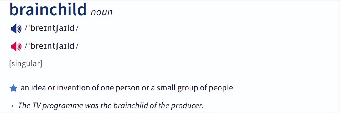 brain是什么词,brain是啥意思呀