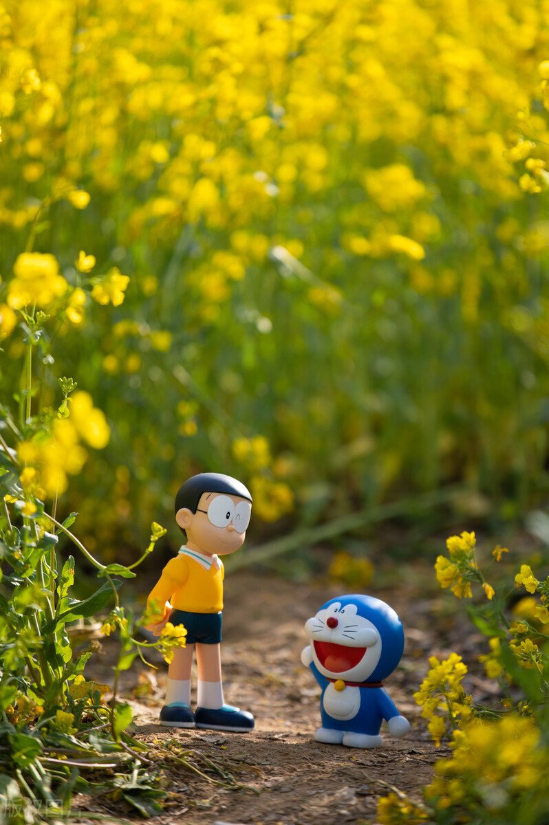 哆啦a梦小时候的愿望,哆啦a梦怀念过去的生活