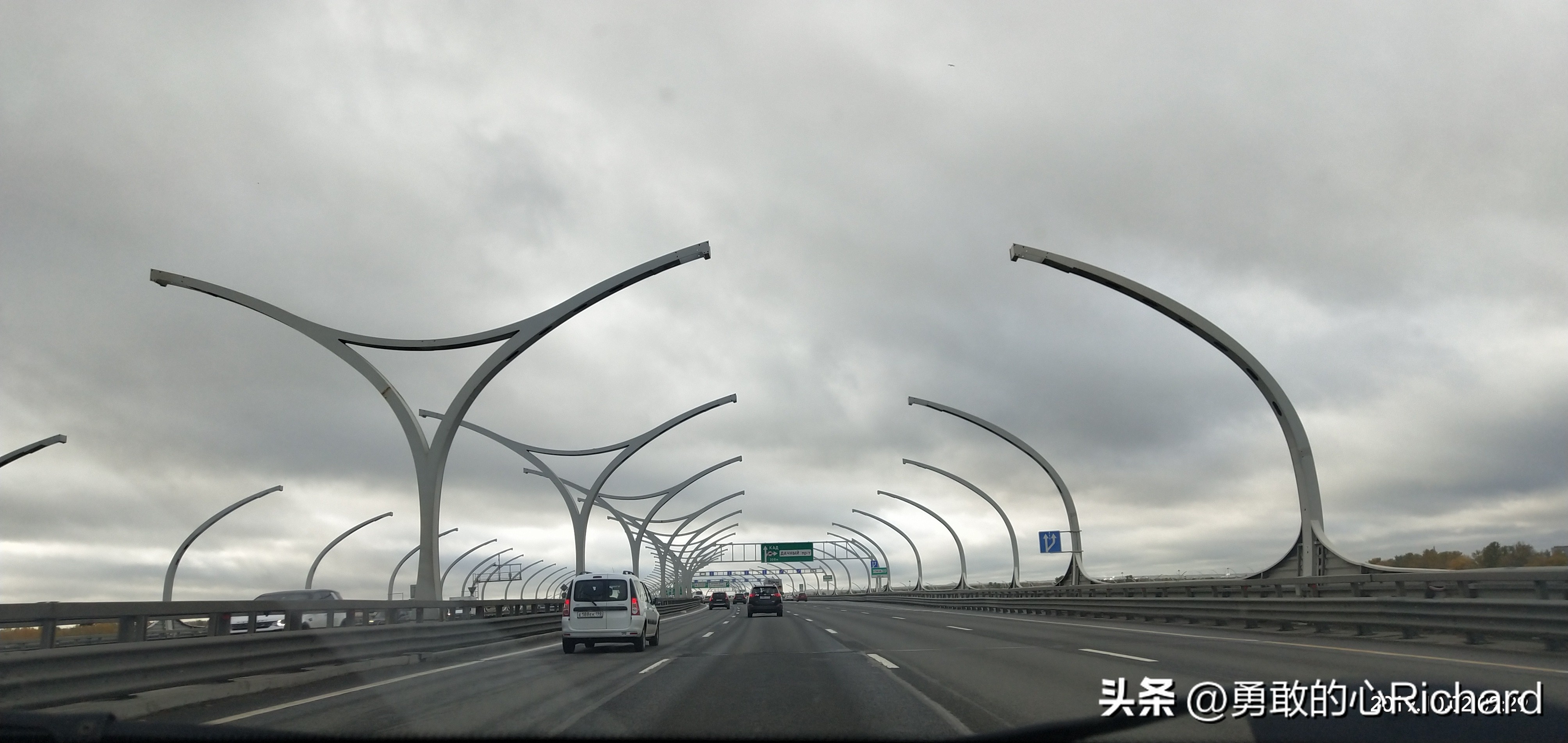 走马观花旅游,走马观花英语版