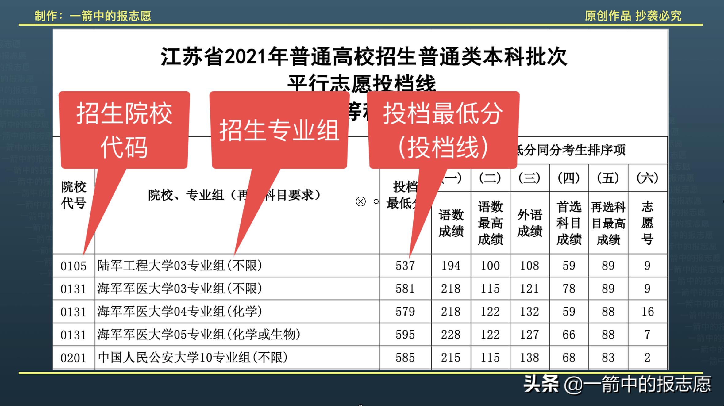 如何查询投档结果,投档多久知道结果