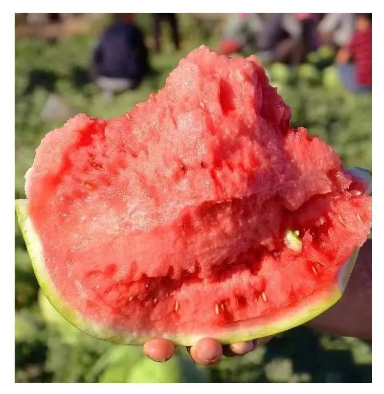 今年夏天最好吃的西瓜,10种最好吃的西瓜