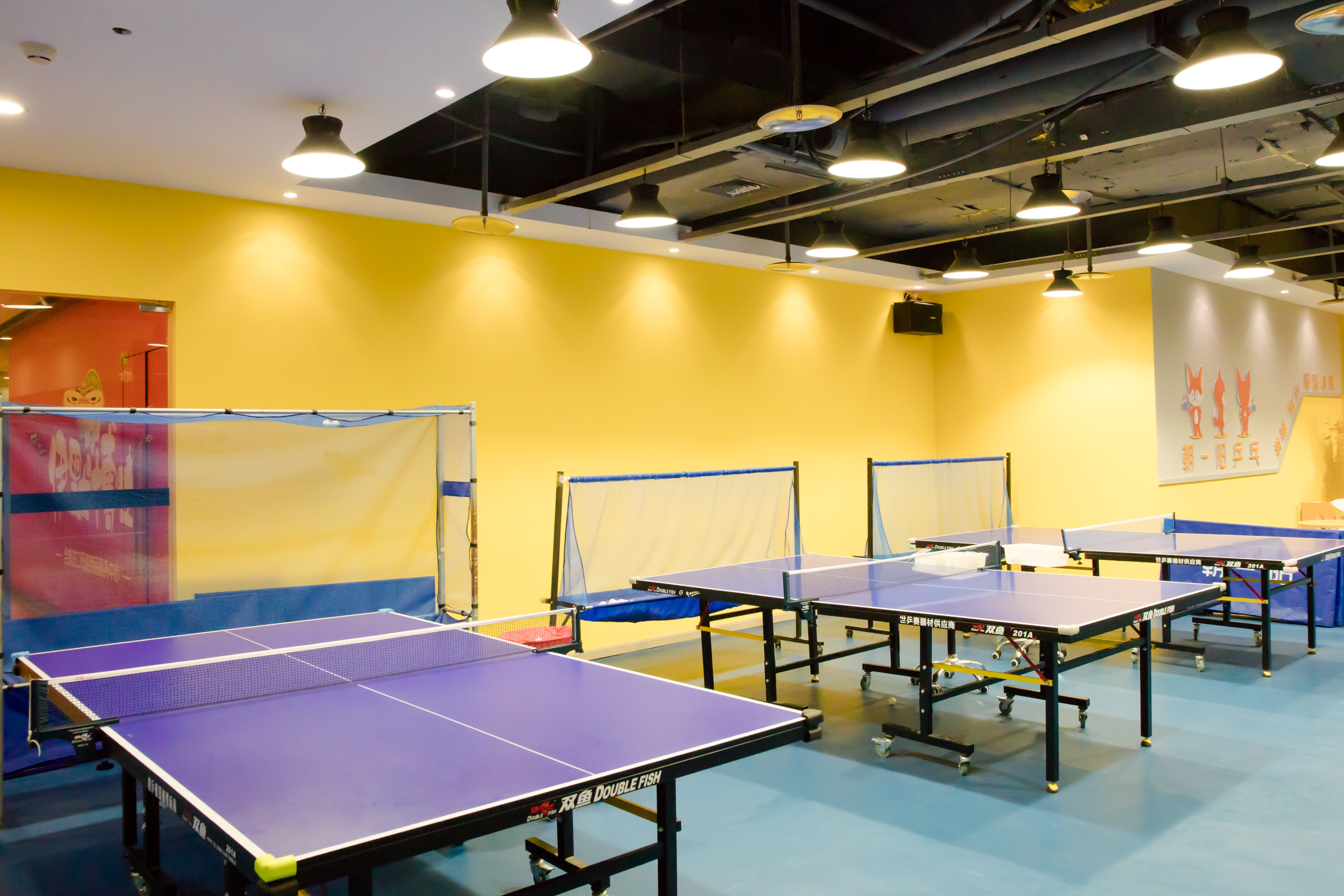 重庆靠谱的少儿乒乓球训练,重庆乒乓球培训收费标准