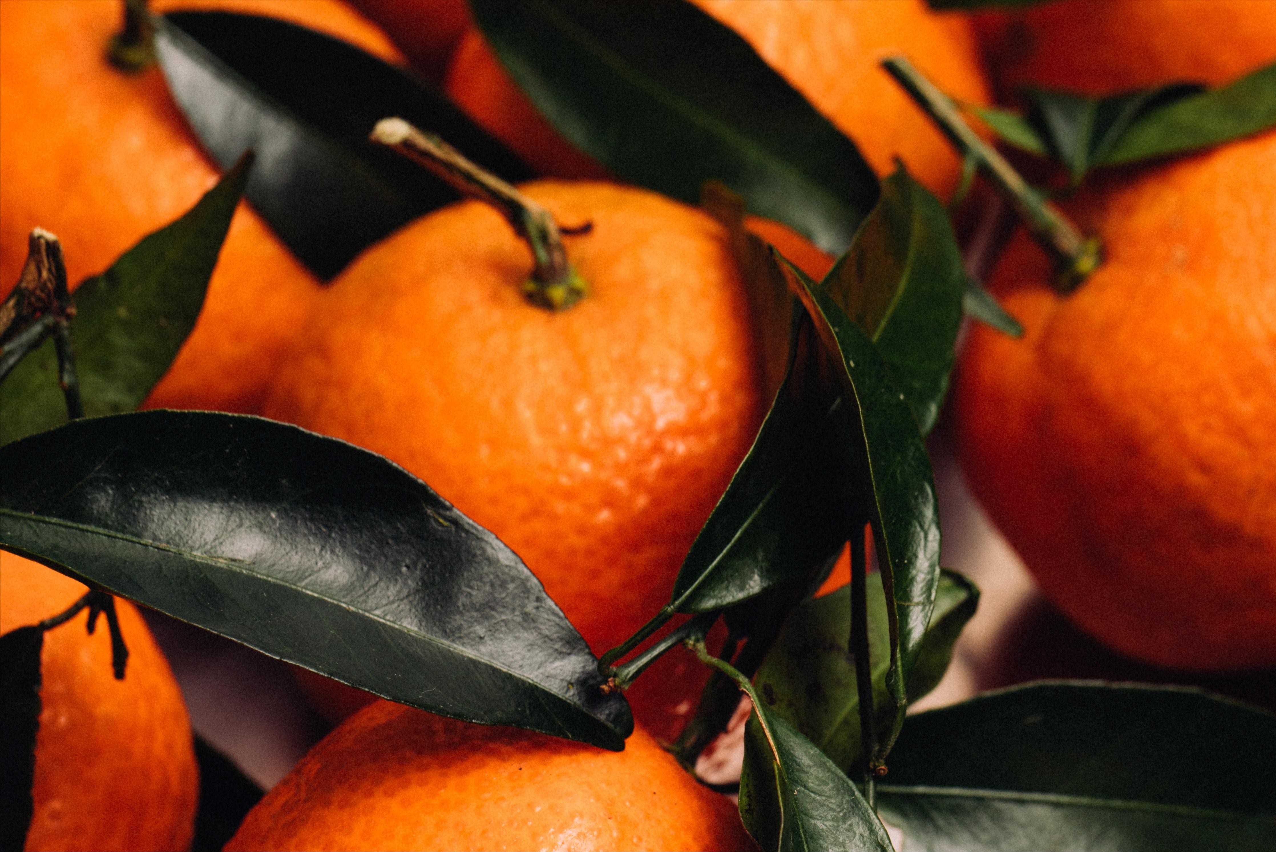 砂糖橘是不是有假的,砂糖橘也有假的你买到过吗