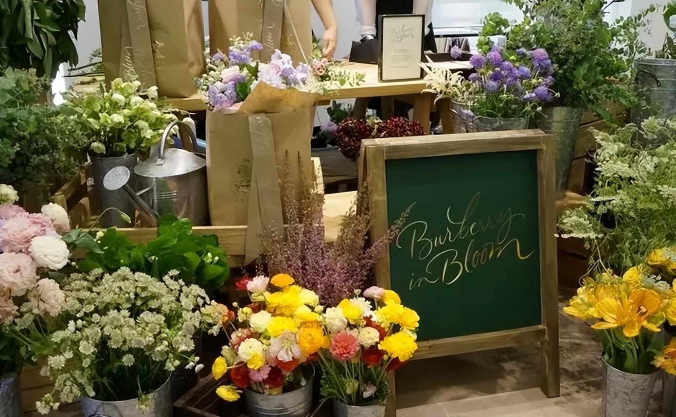 2023年最火爆的加盟店,2023年加盟店有哪些好项目