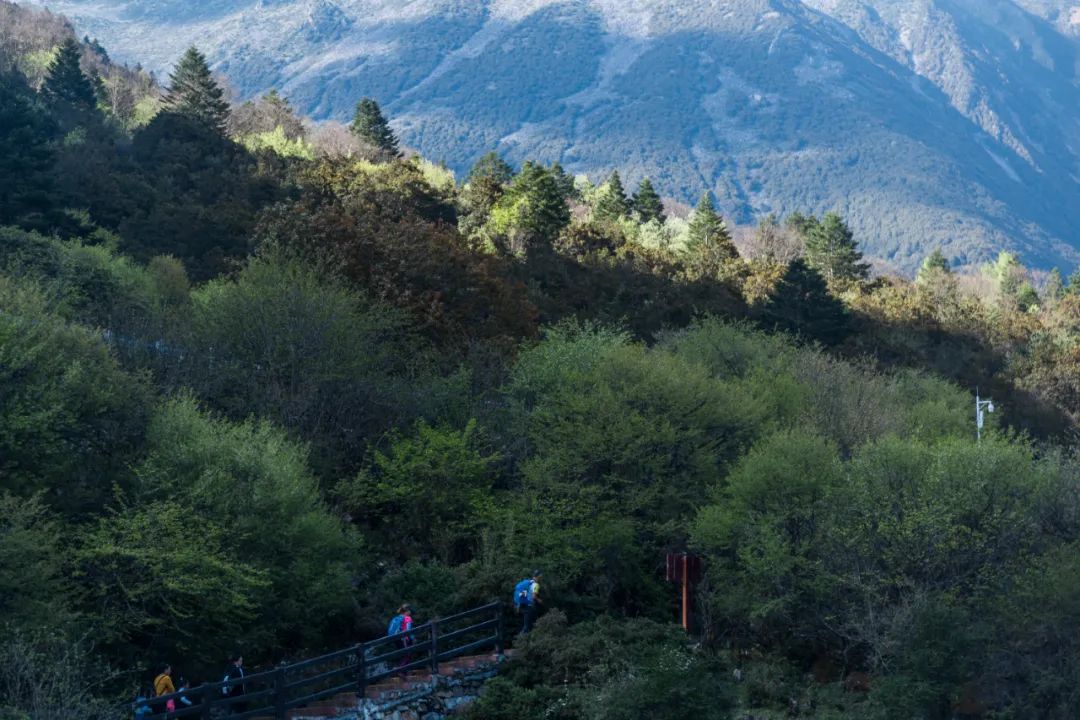 现在的木格措风景,川西高原木格措旅游