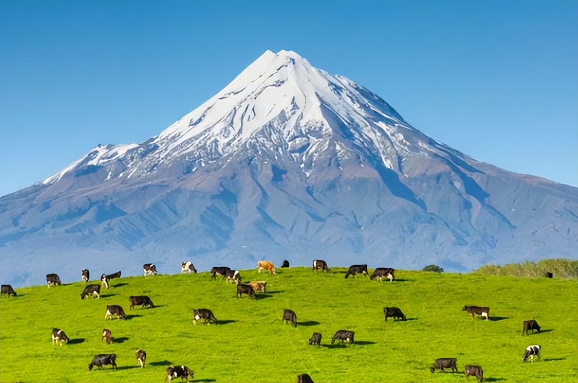 新西兰的自然资源条件,新西兰对自然环境的保护