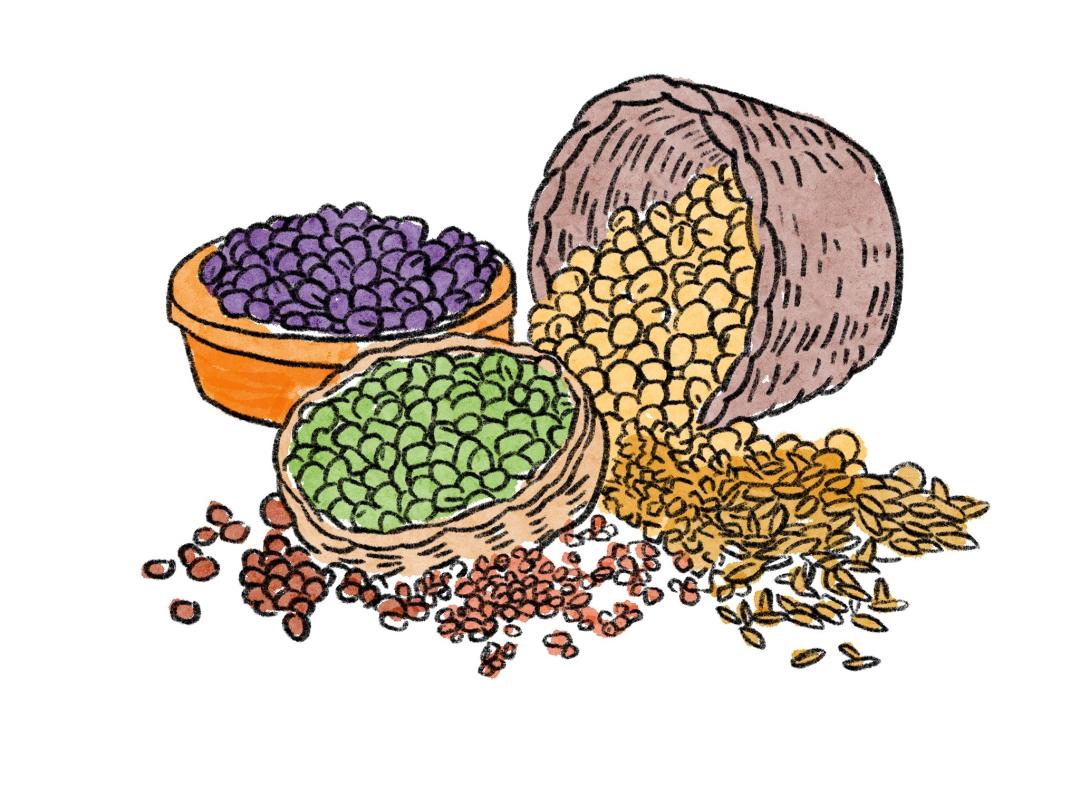 四高患者饮食食谱,四高人群饮食注意事项