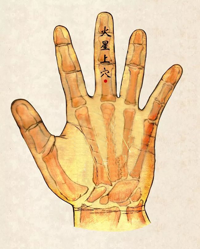 中医经络调理针灸视频,中医针灸规范处方范例