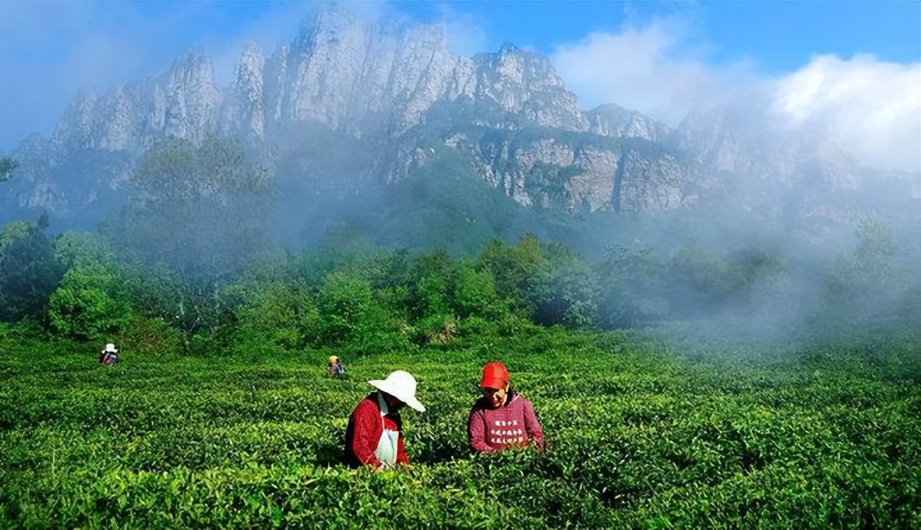 江西农产品地理标志商标公示期 (江西新增地理商标名单)